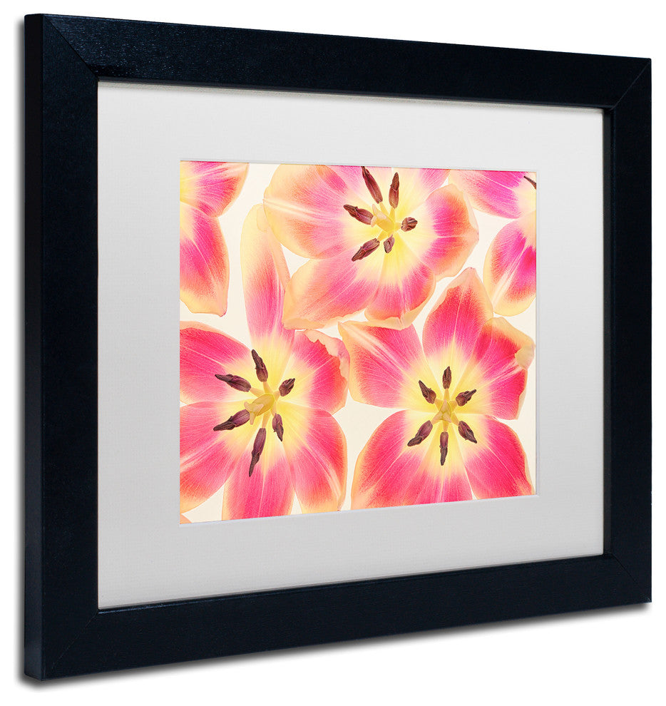 Cora Niele 'Cerise and Yellow Tulips' Matted Framed Art