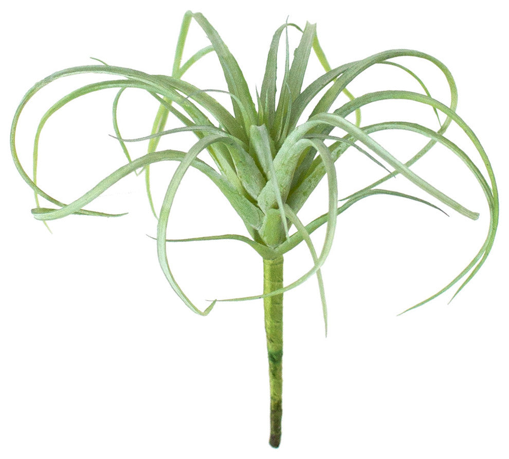 SMALL ARTIFICIAL AIR PLANT