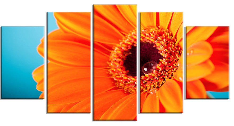 Orange Daisy Gerbera Flower Close up, Flowers Canvas Artwork, 60"x32", 5 Panels