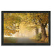 "On A Misty Autumn Morning", Framed Photograph Print, Ready To Hang