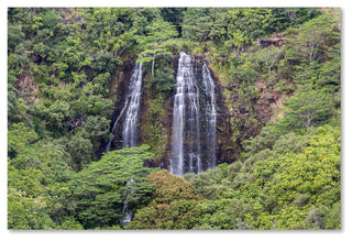 Pierre Leclerc 'Opaekaa Falls' Canvas Art, 19x12