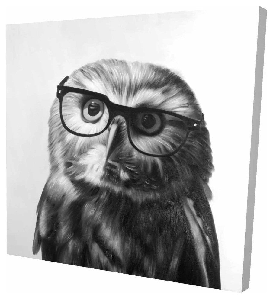 Realistic Northern Saw-Whet Owl With Glasses Print On Wrapped Canvas, 36"x36"