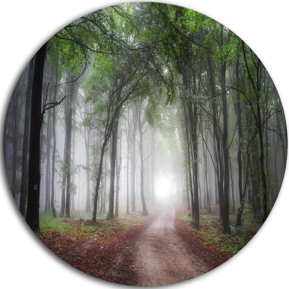 Light Through Green Fall Forest, Landscape Disc Metal Wall Art, 11"