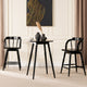 Breda 25" Round Counter-Height Bistro Dining Table With Spindle Legs, Black