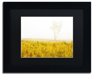 PIPA Fine Art 'Dreams of Goldenrod and Fog' Matted Framed Art, 14x11