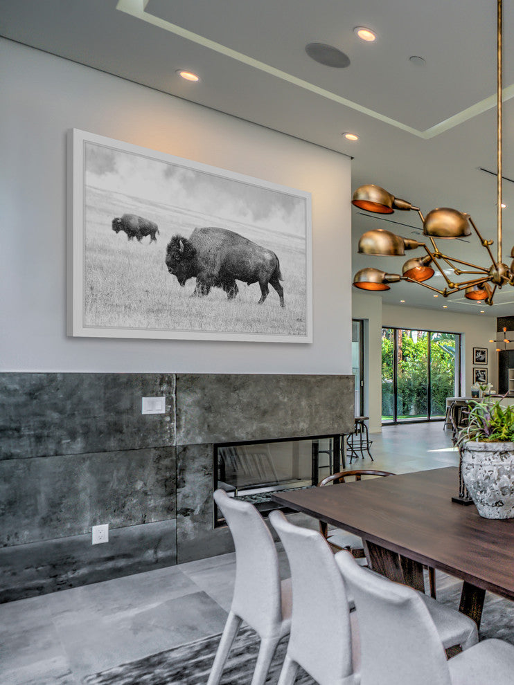 Marmont Hill, "Buffalo Pair" Framed Painting Print, 18x12