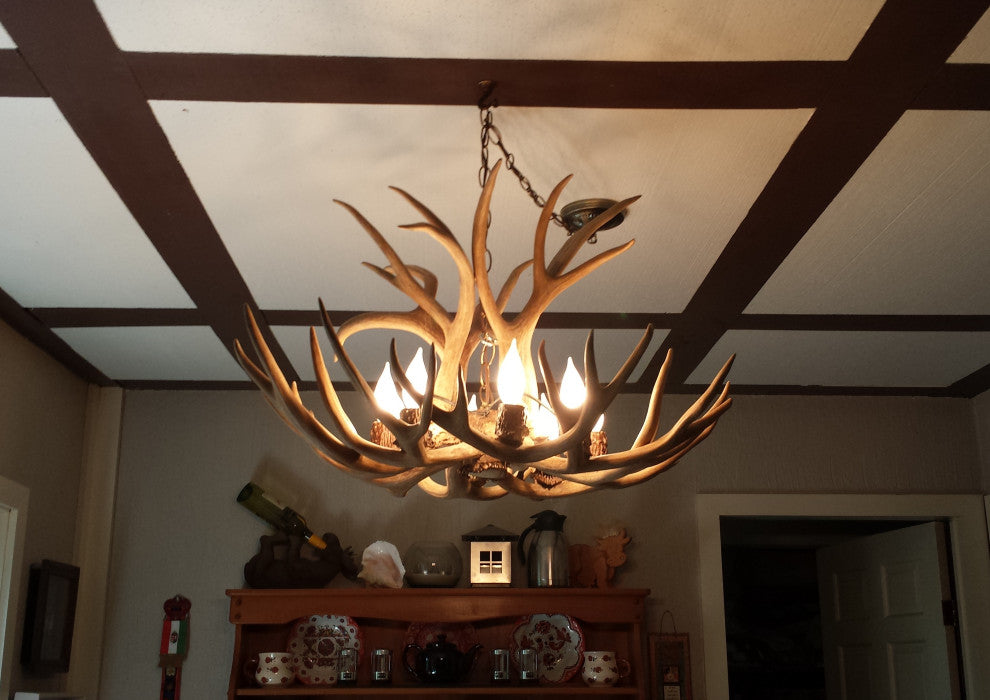 Mule Deer Single Tier Antler Chandelier Light, Medium, No Shades