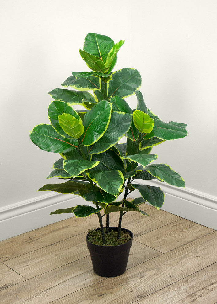 Faux Botanical Ficus Elastica in Green Finish 35 Inch Height