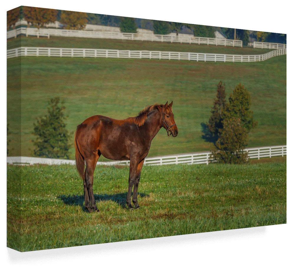 Galloimages Online ''Out Standing In His Field Oil Paint'' Canvas Art, 47"x30"