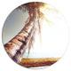 Huge Bent Coconut Tree To Beach, Landscape Disc Metal Artwork, 11"