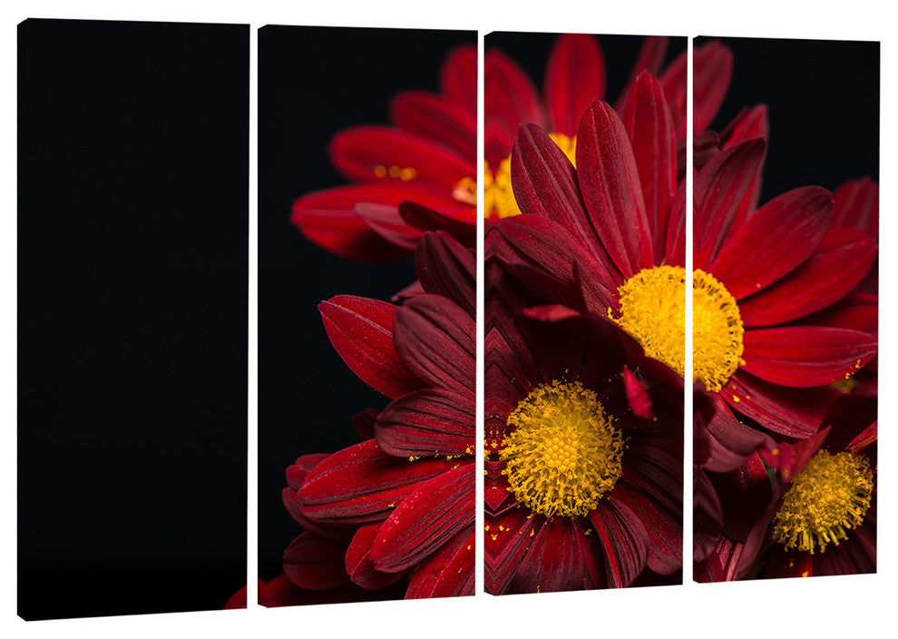 "Red Velvet Chrysanthemum Flowers" Canvas Print, 4 Panels, 48"x28"