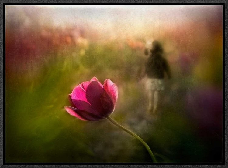 "A Pink Childhood Memory" Framed Canvas Giclee by Shenshen Dou, 17x12"