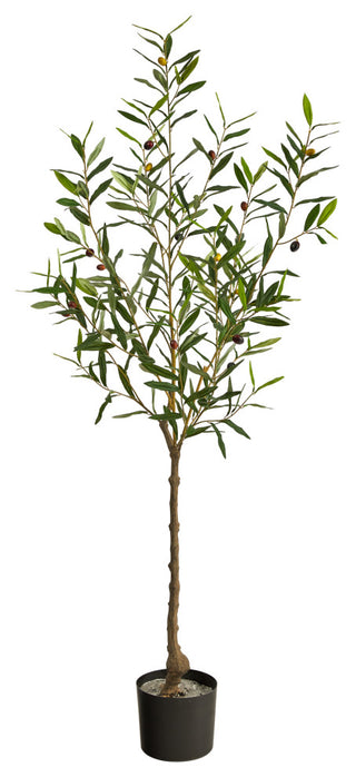 Full product image on pure white background, front-facing, no overlays.