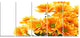 Orange Flowers Chrysanthemum, Floral Canvas Art Print, 60"x28", 5 Panels