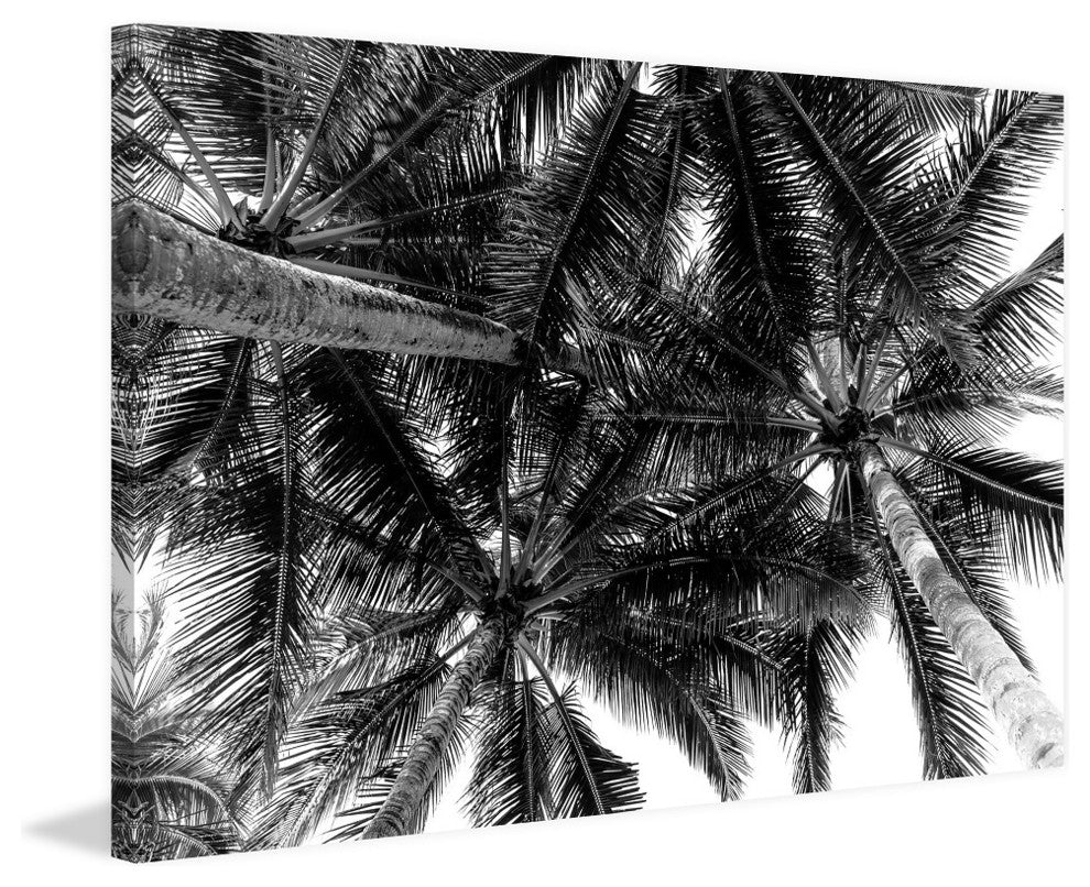 "Summer Fronds" Painting Print on Wrapped Canvas