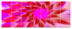 Beautiful Pink Flower Petals, Floral Canvas Art Print, 83"x32", 7 Panels