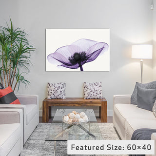 "Anemone II Gallery" by Robert Coop, 40x26x1.5"