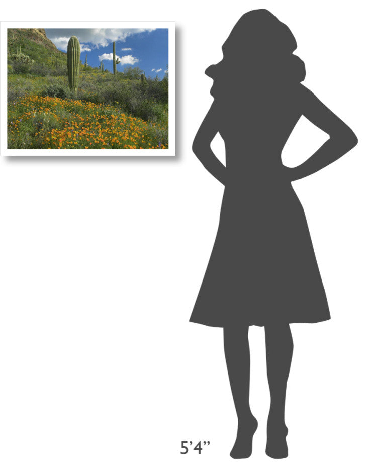 "California Poppy, Saguaro cacti, Organ Pipe Cactus Monument" Paper Art, 26"x20"