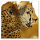 Cheetah Portrait Gold Splash Animal Design, 12"x12", Wood Art