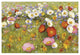 "Champ de Fleur III" Digital Paper Print by Shirley Novak, 32"x22"