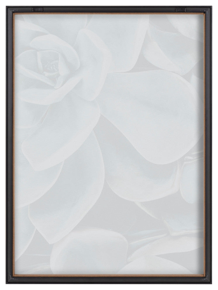 Blake Succulent 2 Printed Glass by The Creative Bunch Studio, Gray 18x24