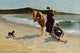 Eagle Head, Manchester, Massachusetts at High Tide- Fine Art Giclee Print