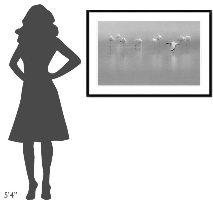 "Shades Of Gray" Framed Digital Print by Massimo Mei, 44x30"