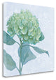 "Blue Hydrangea I" By Beth Grove, Giclee Print on Gallery Wrap Canvas