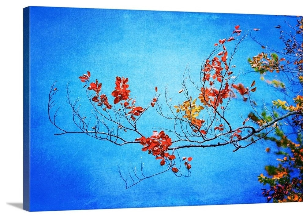 "Fall Texture" Wrapped Canvas Art Print, 24"x16"x1.5"
