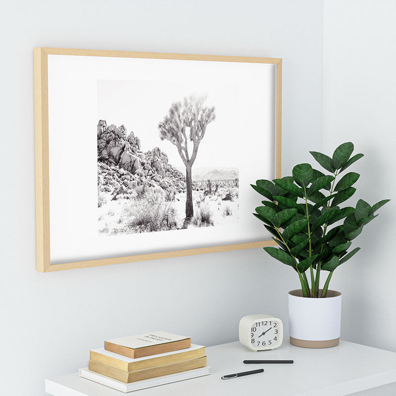 Bree Madden Rocky Desert Recessed Framing Rectangle