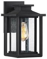 Wakefield 1-Light Outdoor Lantern, Earth Black