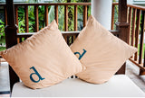 20" x 20" Modern Monogram Indoor/Outdoor Polyester Throw Pillow, Autumn Blue