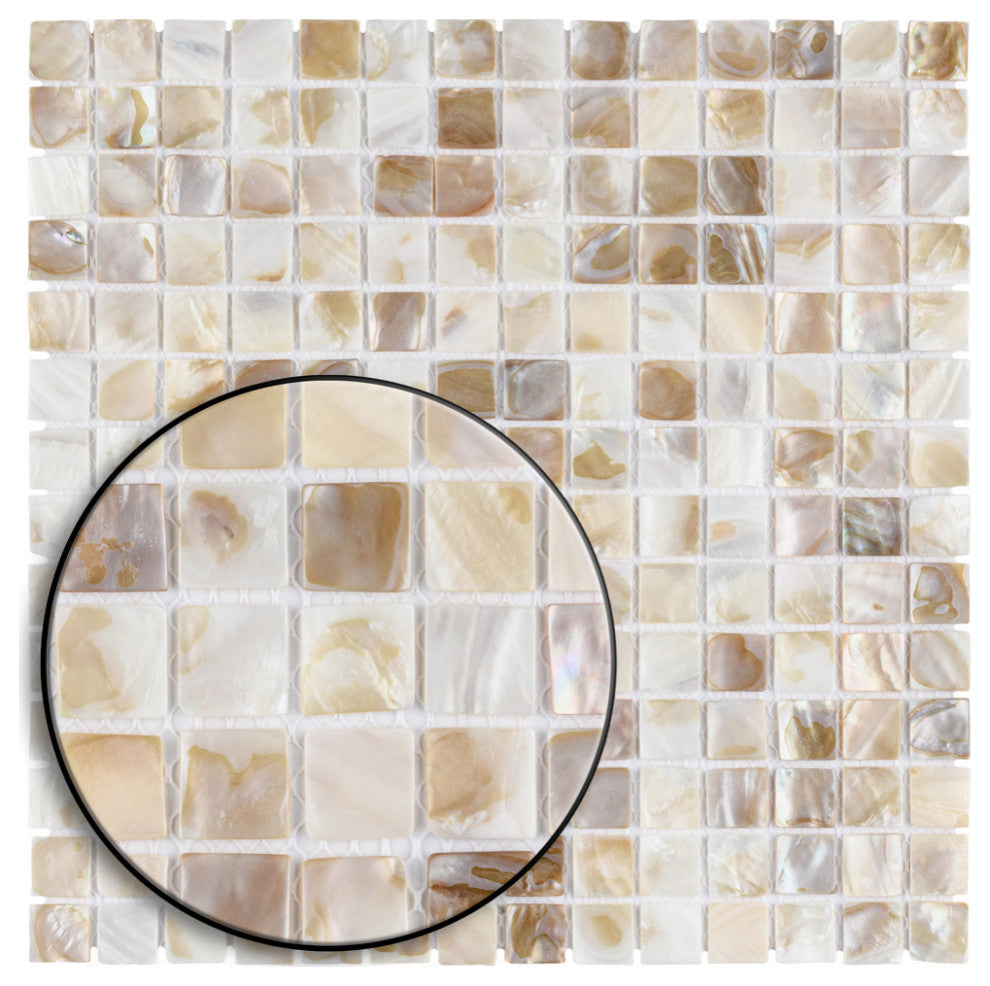 Conchella Square Natural Natural Shell Wall Tile