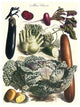 Vegetables; Cucumber, Cabbage, Eggplant, Potato, and Beet- Canvas Poster