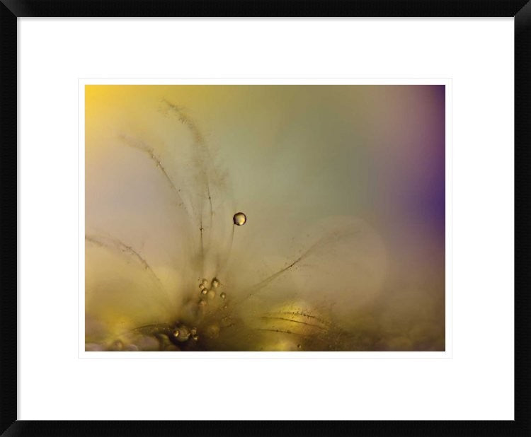 "Feeling Of A New Day" Framed Digital Print by Heidi Westum, 24"x19"