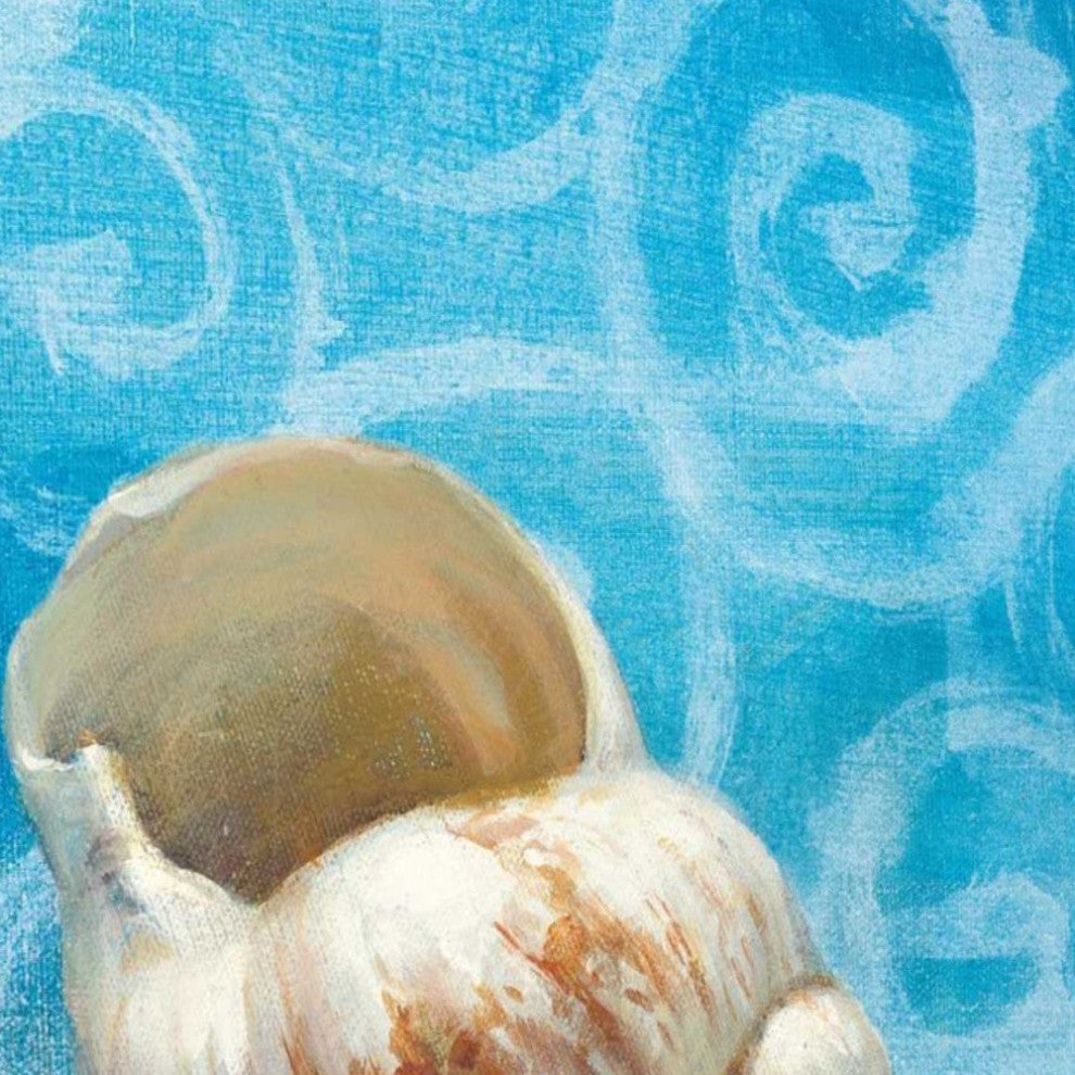 18" Mod Blue Scroll Coastal Conch 1 Giclee Wrap Canvas Wall Art