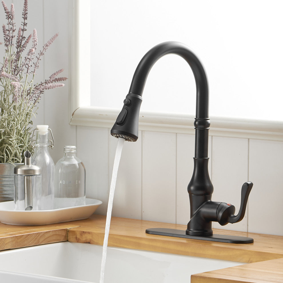 Wellfor Single Level Stainless Steel Kitchen Faucet With Pull Down Spray, Matte Black