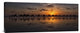 "Sunset Camel Safari" Stretched Canvas Giclee by Louise Wolbers, 30x12"