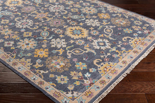 Gorgeous Updated Traditional Charcoal, Beige Area Rug, 2'x3'