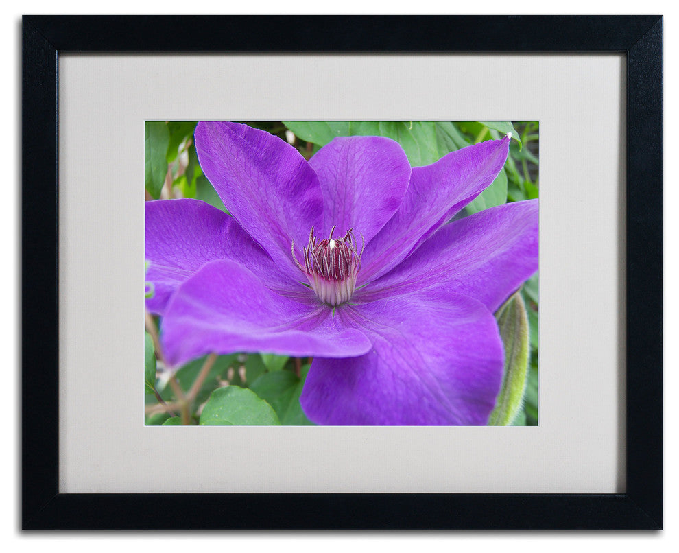 'Purple Flower' Matted Framed Canvas Art by Monica Fleet