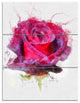 Watercolor Dark Red Rose Sketch, Floral Triptych Canvas Print, 28x36, 3 Panels