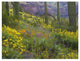 "Saguaro amid flowering Lupine, Organ Pipe Cactus Monument" Paper Art, 42"x32"