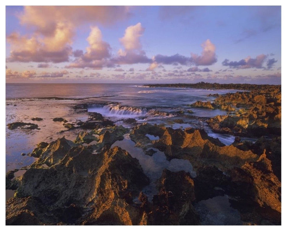 "Dusk at Shark's Cove, Oahu, Hawaii" Paper Print by Tim Fitzharris, 26"x22"