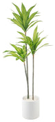 59"H Tree, 10" Roman Ceramic 10X10X10