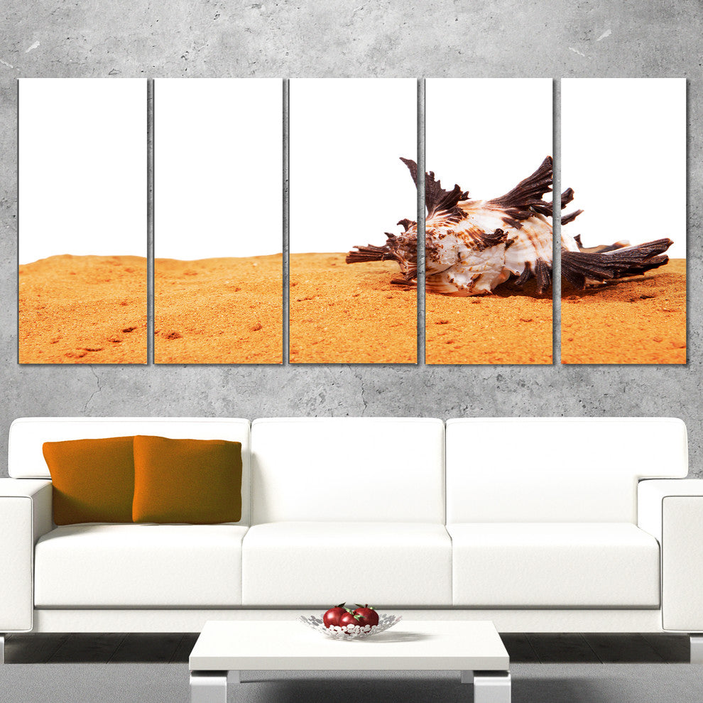 "Large Sea Shells on Sand" Canvas Print, 5 Panels