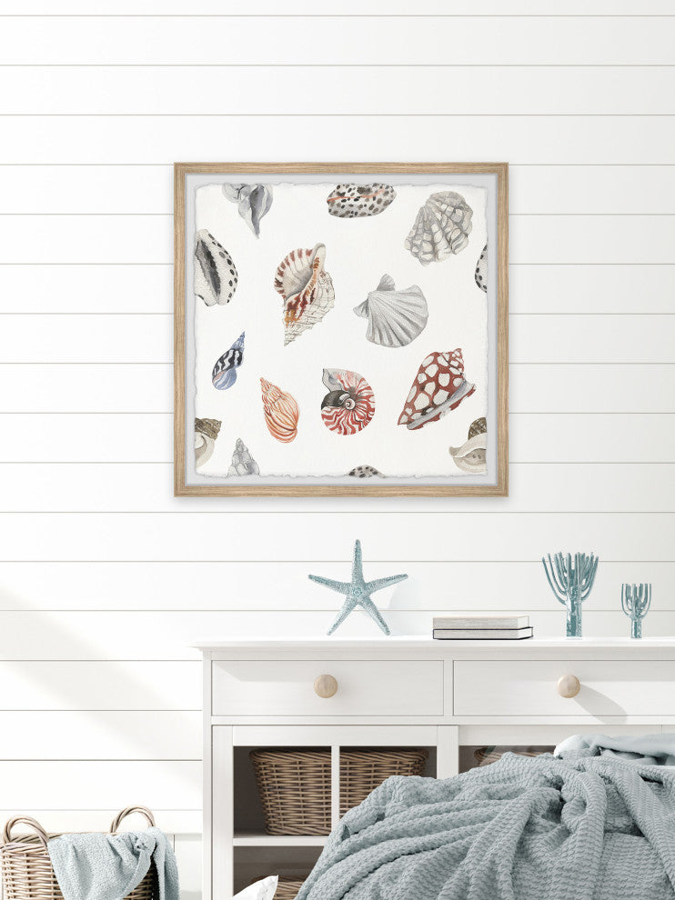 "Classic Seashells" Framed Painting Print, 24x24