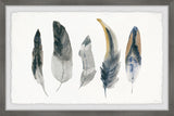 "Shaded Feathers" Framed Painting Print, 12"x8"