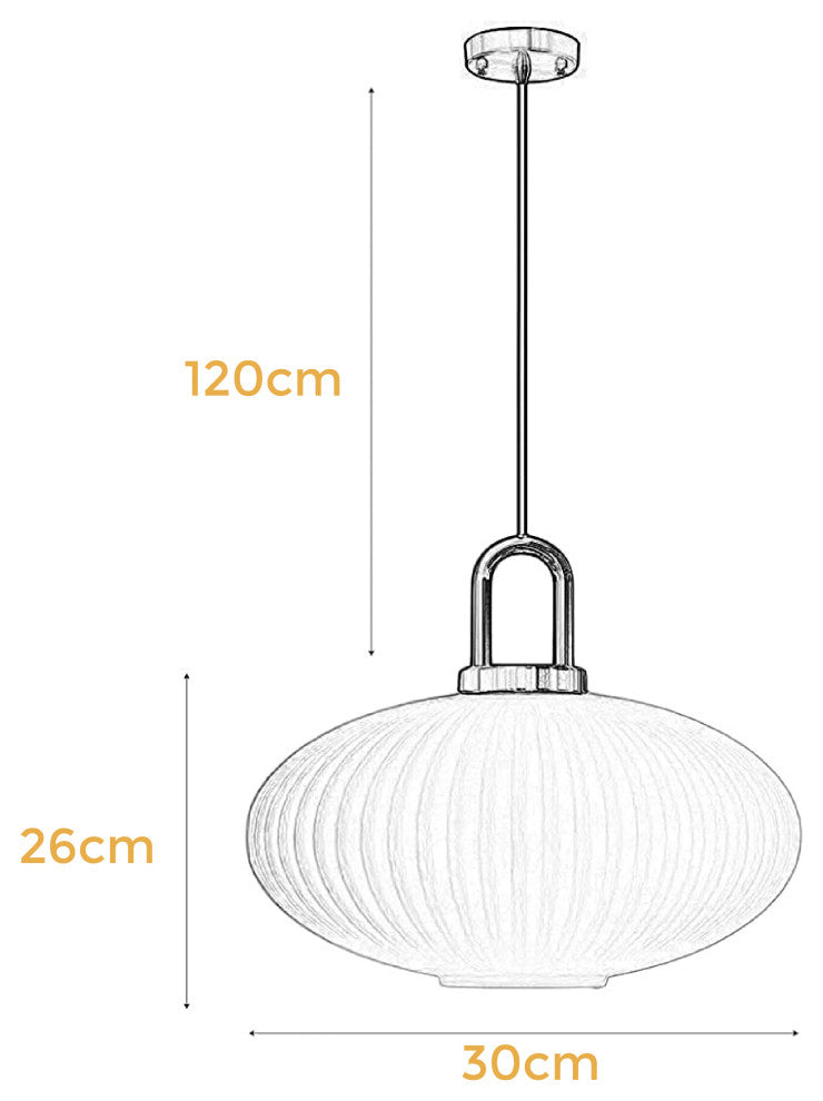 Vintage Pendant Light Glass hanging led lights Modern Retro feather chandelier