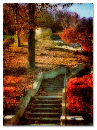 'Autumn Stairway' Canvas Art by Lois Bryan