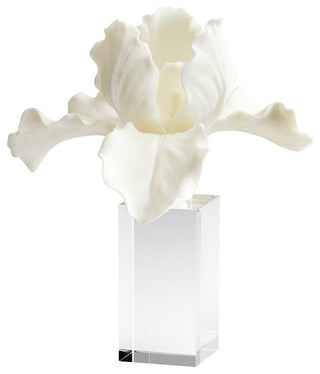 Orchid Sculpture, White, Crysta, Resin, 8.5"W (10559 MGL8Z)